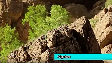 Dokument Irana: Aligudarz