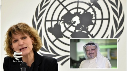 سعودی عرب نے دھمکیاں دیں، ایمنسٹی انٹرنیشنل کی سربراہ کا تازہ انٹرویو 