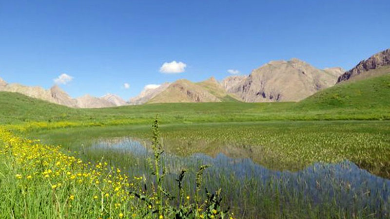 گزنگی به‌یانی - 30-12-2019