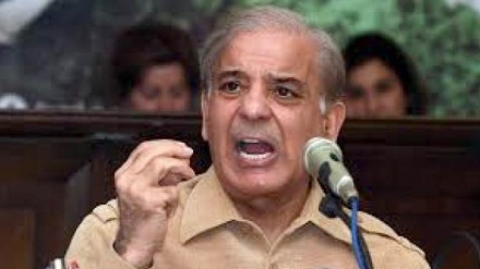  شہباز شریف اور ان کے صاحبزادوں کے اثاثے منجمد کرنے کے احکامات  