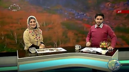 سماجی پروگرام ۔ زندگی سلام