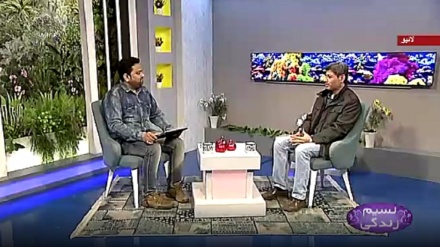 نسیم زندگی - معاشرے اور گهرانے میں انصاف