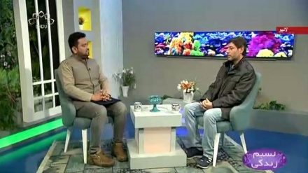 نسیم زندگی - انٹرنٹ اور گهرانے کی حفاظت