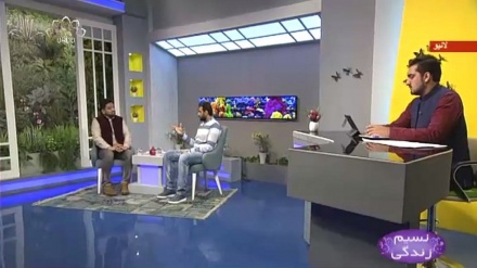 نسیم زندگی - جوڑوں کا انفکشن