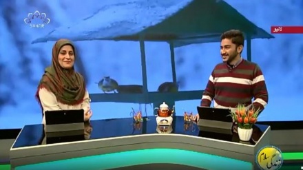 سماجی پروگرام ۔ زندگی سلام