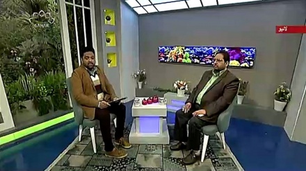 نسیم زندگی - میاں بیوی کے حقوق اور فرائض