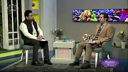 نسیم زندگی - ارگونامکس