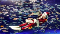 Ronilac u odjeći Djeda Mraza u akvariju u Tokiju
