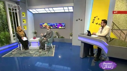 نسیم زندگی - انسان کی شناخت پر سوشل میڈیا کے اثرات 