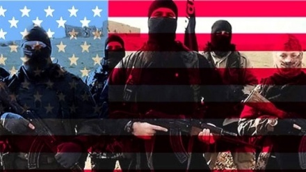 عراقی فوج کے حملے میں داعش کے 14 دہشت گرد ہلاک