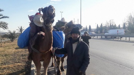 İranın cənubundan dəvə ilə səyahətə çıxan turist 9 ay sonra Gəncəyə çatıb 