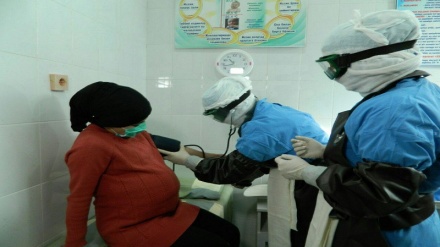 بەشێکی کورت لە ژیانی بوونەوەرانی پارێزگای کوردستان