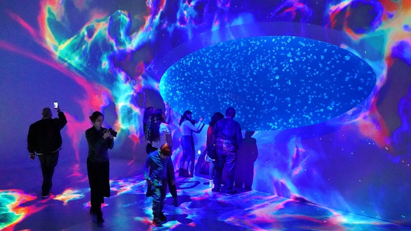 Ən böyük meduza akvariumu