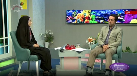 نسیم زندگی - گهروں میں ارگونامکس