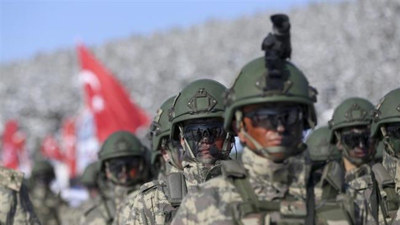 ترکی اور شام میں فوجی تصادم کے نتائج، کیا شام، ترکی کے لئے دلدل بن گیا؟ (دوسرا حصہ)