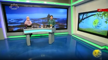 سماجی پروگرام ۔ زندگی سلام