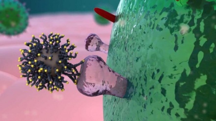 کورونا وائرس سعودی عرب، اسرائیل اور لبنان میں بھی پہنچ گیا