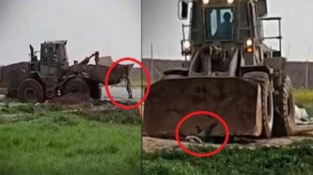 فلسطینی شہید کے جسد کی صیہونیوں نے کی بے حرمتی- ویڈیو