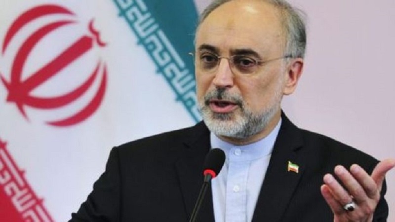 آئی اے ای اے کو جاسوس ایجنسیوں کا آلہ کار نہیں بننا چاہئے: ایران