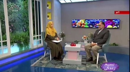 نسیم زندگی - سماجی استحکام میں میڈیا کا کردار