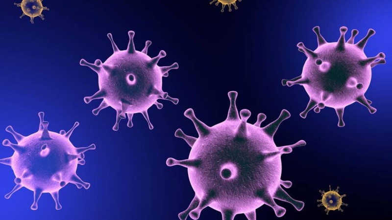 پاکستان میں کورونا وائرس کا پہلا کیس سامنے آگیا 