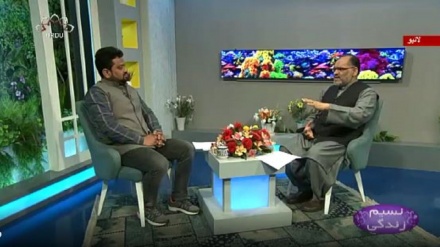 نسیم زندگی - معاشرے میں ثقافتی اقدار کی اہمیت