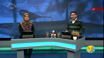 سماجی پروگرام ۔ زندگی سلام