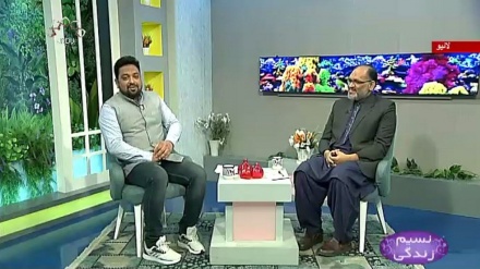 نسیم زندگی - گھریلو زندگی میں ہم آہنگی کی اہمیت