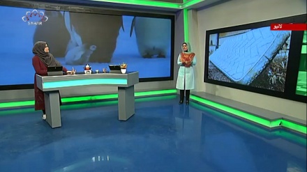 سماجی پروگرام ۔ زندگی سلام