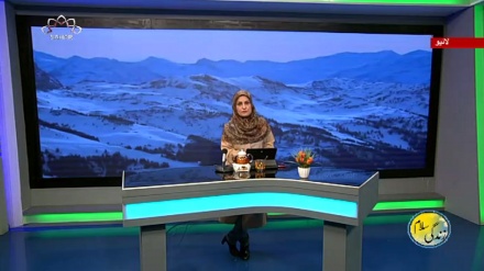 سماجی پروگرام ۔ زندگی سلام