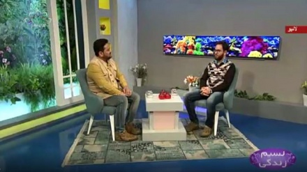 نسیم زندگی - کرونا وائرس