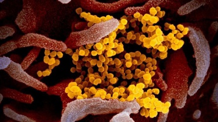 امریکہ نے جدید اور خطرناک ترین کورونا وائرس تیار کرلیا ، روس کا انکشاف 