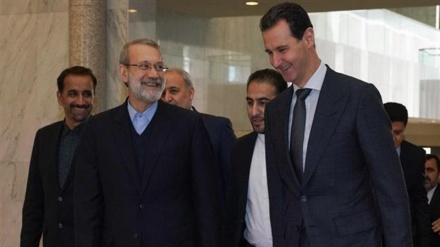 ایران دہشتگردوں کیخلاف جنگ میں شام کی حمایت کرتا رہے گا: علی لاریجانی