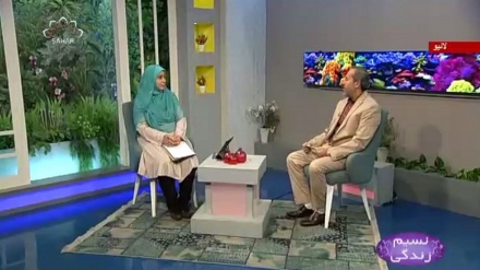 نسیم زندگی - معاشرے پر جدید طرز زندگی کے  منفی اثرات