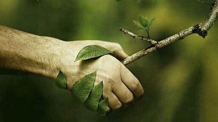 جشن نو روز کی مناسبت سے خصوصی پروگرام (نیچر ڈے) 