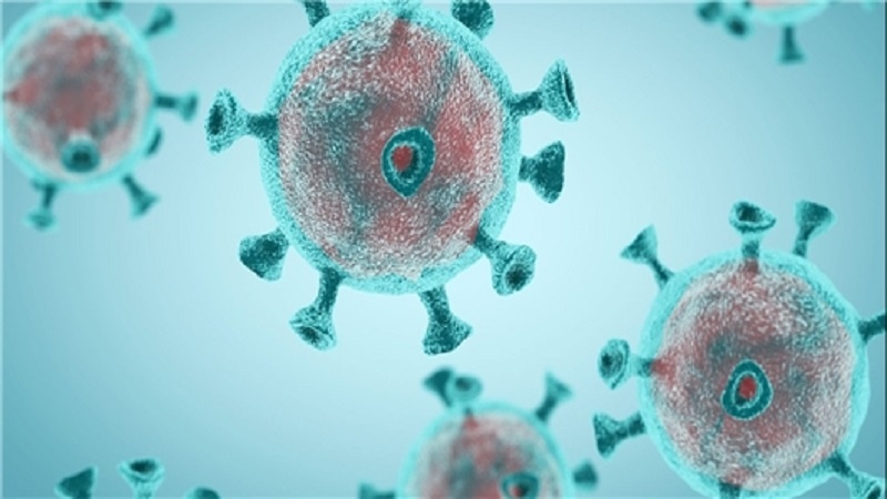Planirana pandemija straha po modelu svinjskog gripa