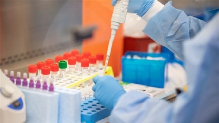 U Palestini 97 potvrđenih slučajeva, na Zapadnoj obali šest novih