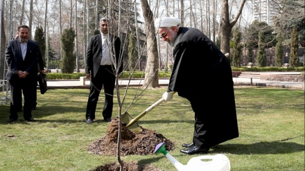 Tehran ətrafında 1290 hektarlıq meşəsalma layihəsi istifadəyə verilib