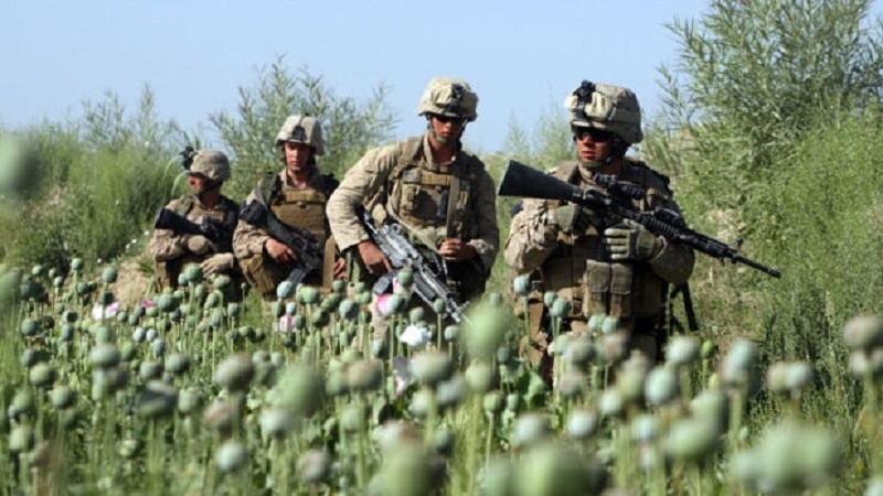 Rusija: SAD su u posljednjih 20 godina Afganistan pretvorile u svjetsku laboratoriju za narkotike