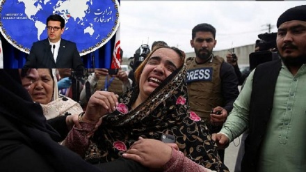 ایران دہشت گردی کے خلاف جنگ میں افغانستان کے ساتھ ہے