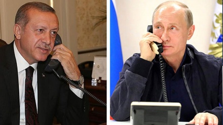یوکرین کے بارے میں پوتین اور اردوغان کے درمیان ٹیلی فونی گفتگو