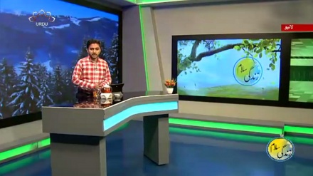 سماجی پروگرام ۔ زندگی سلام