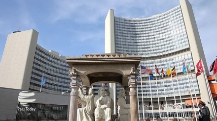 Dünyada ərzaq məhsullarının qiyməti bahalaşır - BMT