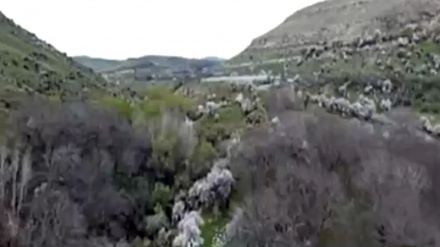 ڕۆژی نوێ - مەهاباد - 16-04-2020