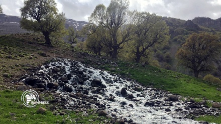 سرووشتی جوانی وەرزی بەهار لە ئێران