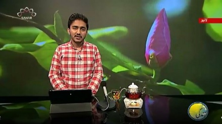 سماجی پروگرام ۔ زندگی سلام