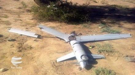 پاکستان کی جانب سے ہندوستانی ڈرون مار گرائے جانے کا دعوی