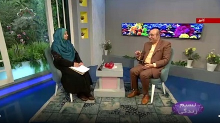 نسیم زندگی - سماجی پروگرام