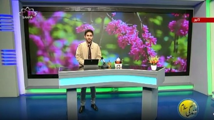 سماجی پروگرام ۔ زندگی سلام