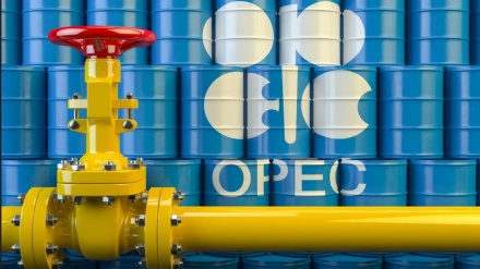 OPEK Plus neft hasilatının azaldılması ilə razılaşıb